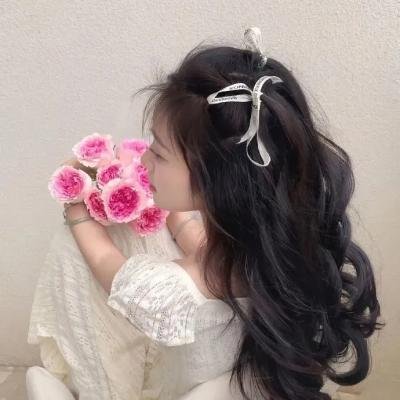 柏林一区