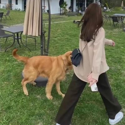 卧底甜心