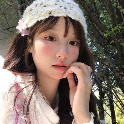 芝加哥警署第六季